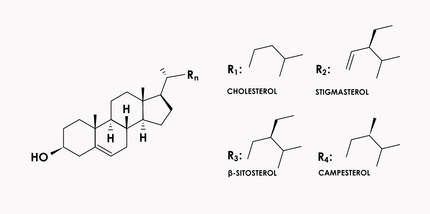 Crystal-Engineering-of-Nutraceutical-Phytosterols
